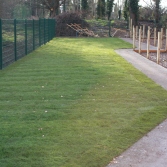 The bottom Gardens starting to look better after awful weather December 2012